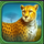 roaring lions brasil jackpot lion symbol icon