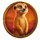 roaring lions brasil jackpot meerkat symbol icon