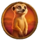 roaring lions oranje jackpot meerkat symbol icon