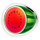 rolling wild watermelon symbol icon