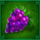 roma x deluxe grapes symbol icon