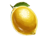 roman fruits 5 symbol icon