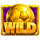 ronaldinho da sorte wild symbol icon