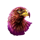 roo riches eagle symbol icon