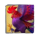 rooster rumble bird 1 symbol icon