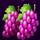 royal coins 2 hold and win two grapes symbol icon