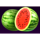 royal coins hold and win watermelon symbol icon
