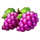royal express hold and win grapes symbol icon