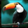 royal gorilla toucan symbol icon