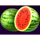 royal joker hold and win mellons symbol icon