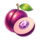 royal ruby featurestorm plum symbol icon