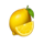 royalgarden king lemon symbol icon