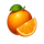 royalgarden queen orange symbol icon