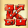 rtg coyote cash k symbol icon