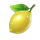 ruby royal lemon symbol icon