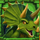 rumble extinction dinosaur 4 symbol icon