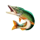 rush fever catch em all fish 3 symbol icon