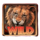 safari expedition wild symbol icon