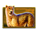 safari king cheetah symbol icon
