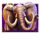 safari king elephant symbol icon