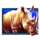 safari king rhino symbol icon