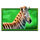 safari king zebra symbol icon