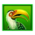 safari mystery bird symbol icon