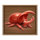 safari mystery bug symbol icon