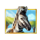 safari rumble zebra symbol icon