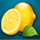 sakura fruits lemon symbol icon