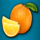 sakura fruits orange symbol icon