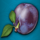 sakura fruits plum symbol icon
