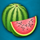 sakura fruits watermelon symbol icon