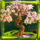samurai slot bonsai symbol icon