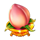 san xing riches flower symbol icon