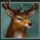 savage buffalo spirit deer symbol icon