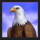 savage buffalo spirit megaways eagle symbol icon