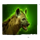savannah legend hayena symbol icon
