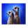 savannah legend meerkat symbol icon