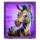 savannah riches oranje jackpot zebra symbol icon
