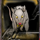 scary rich 2 rat symbol icon