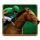 scudamores super stakes 3 icon