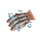 sea bass hot pot bonanza s fish symbol icon