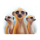 serengeti kings 6 icon