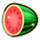 seven seven money bloxx watermelon symbol icon