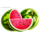 sevens joy watermelon symbol icon