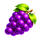 sexy joker grape symbol icon