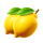 sexy joker lemon symbol icon