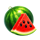 sexy joker watermelon symbol icon