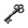 shadow pirates 2xcoin gray key symbol icon